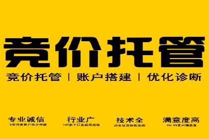 百度推广公司案例解析：如何利用大数据优化营销策略
